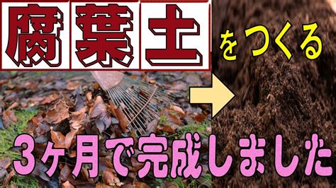 腐葉土|質の良い「腐葉土」の選び方・使い方・作り方を知ろ。